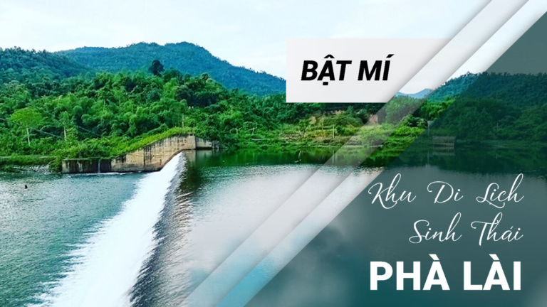 BẬT MÍ KHU DU LỊCH SINH THÁI PHÀ LÀI