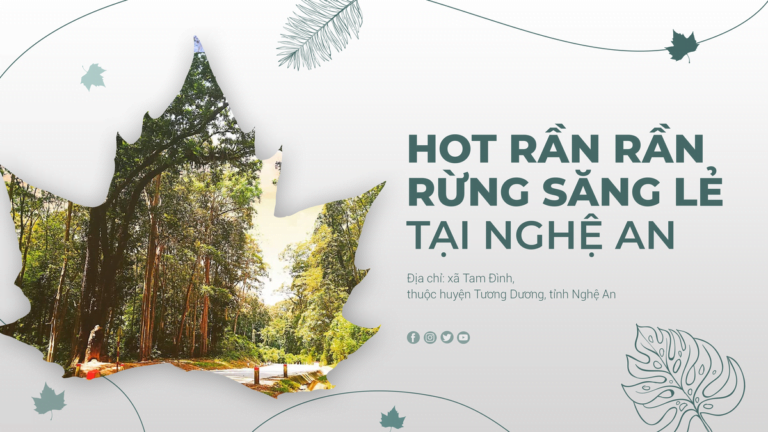 HOT RẦN RẦN RỪNG SĂNG LẺ TẠI NGHỆ AN