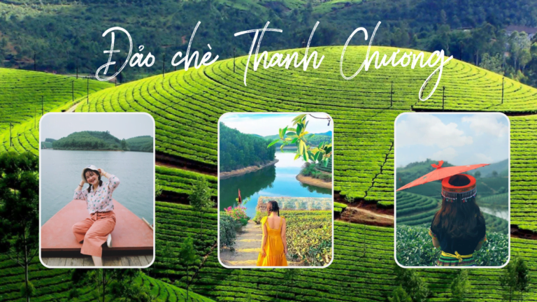 "ỐC ĐẢO CHÈ" XANH MƯỚT GIỮA VÙNG NÚI NON