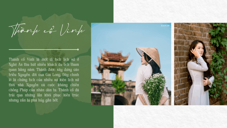 THÀNH CỔ VINH - "TRÁI TIM" CỦA NGƯỜI DÂN XỨ NGHỆ