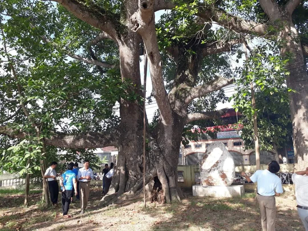 CỤM DI TÍCH LỊCH SỬ HANG RÚ ẤM VÀ CÂY ĐA LÀNG TRÙ