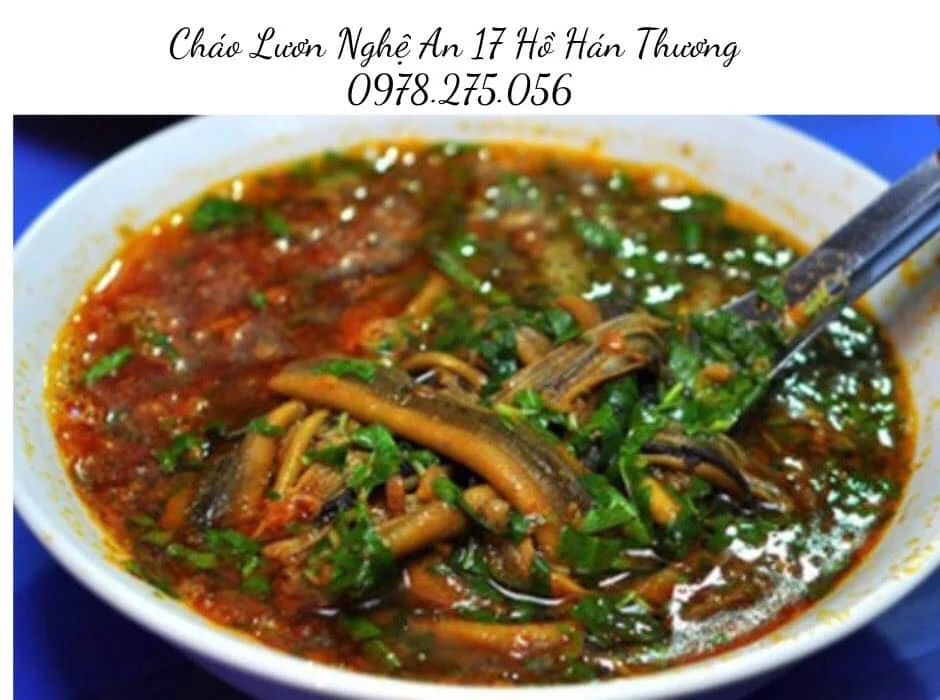 Top 5 Quán Cháo Lươn Nghệ An Ngon – Trải Nghiệm Ẩm Thực Khi Du Lịch Nghệ An