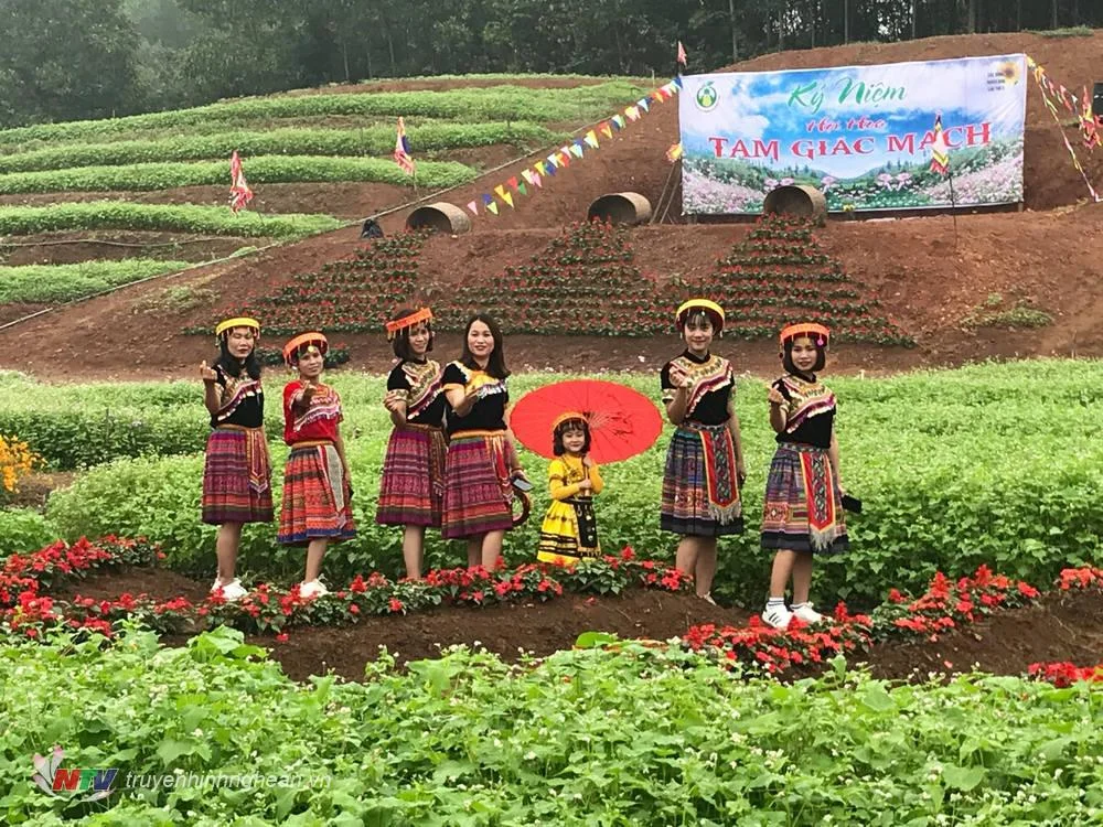Du Lịch Nghĩa Đàn - Top 5 Điểm Đến Tuyệt Đẹp