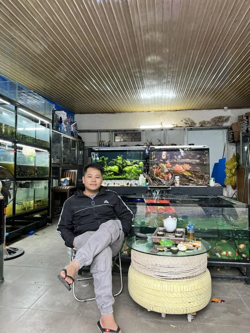 Top 5 cửa hàng cá cảnh Nghệ An uy tín cho tín đồ thủy sinh