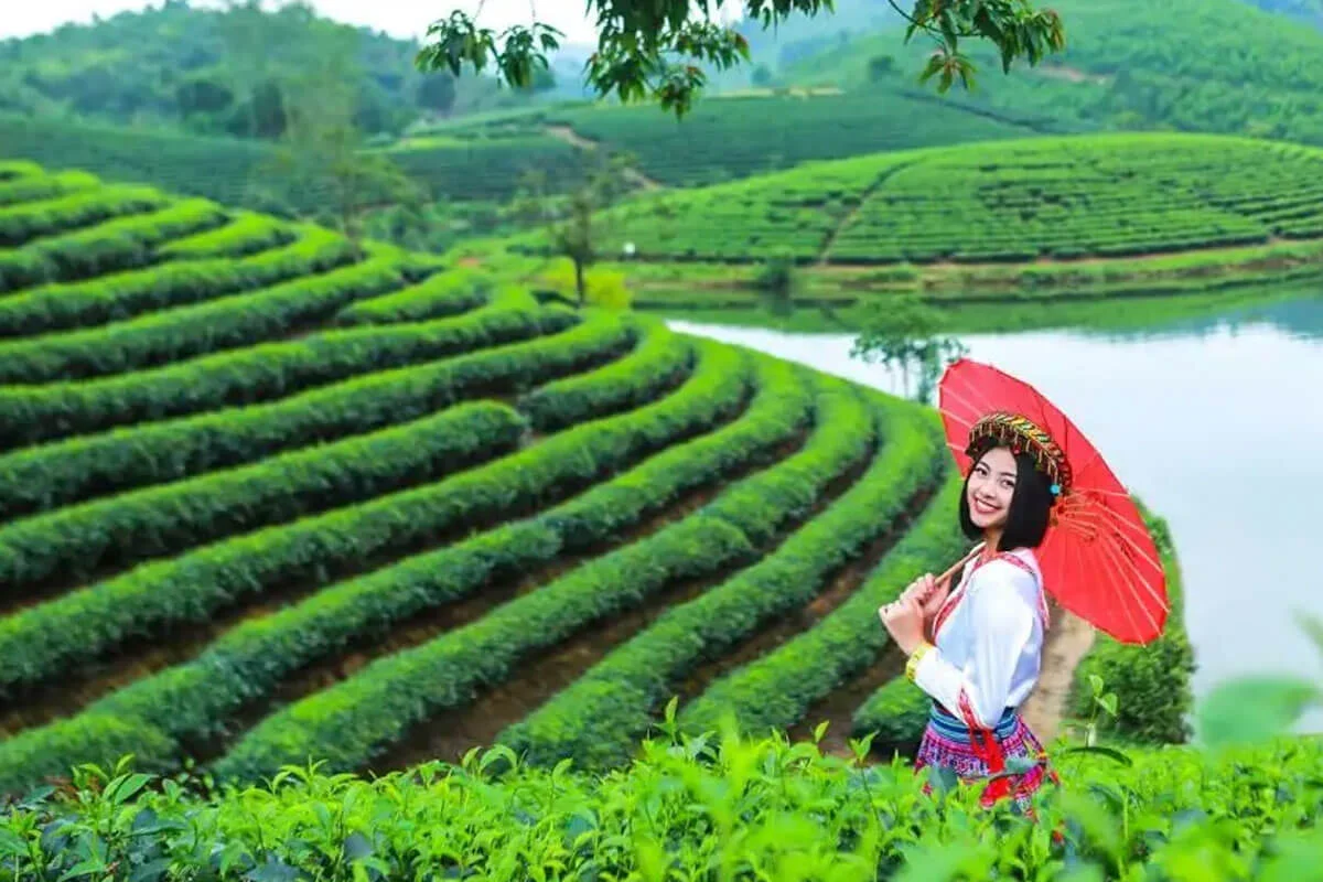 Top 5 Điểm Đến Hấp Dẫn Khi Du Lịch Thanh Chương Không Thể Bỏ Lỡ