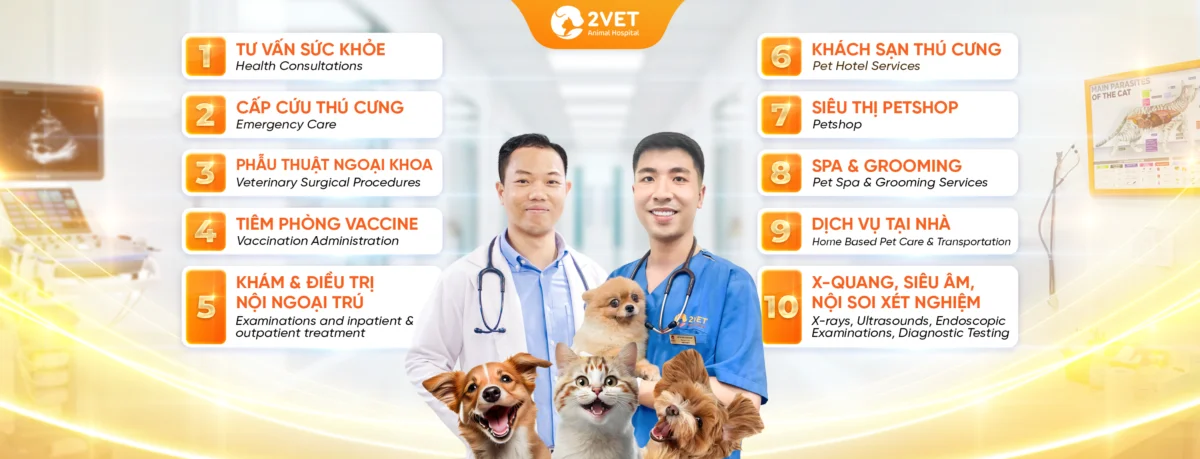 Top 5 dịch vụ chăm sóc thú cưng tốt ở Vinh được khách hàng tin tưởng nhất