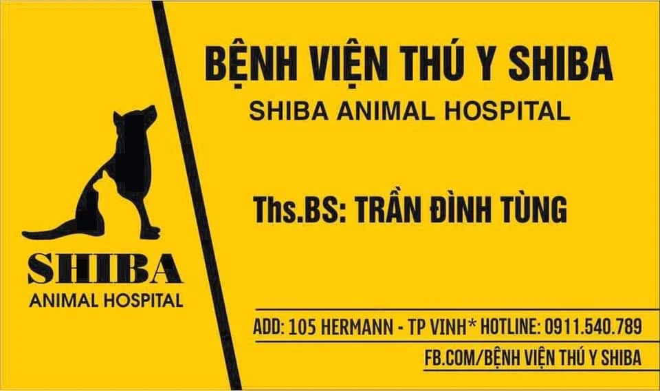 Top 5 dịch vụ chăm sóc thú cưng tốt ở Vinh được khách hàng tin tưởng nhất