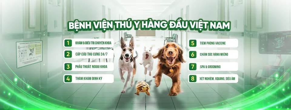 Top 5 dịch vụ chăm sóc thú cưng tốt ở Vinh được khách hàng tin tưởng nhất