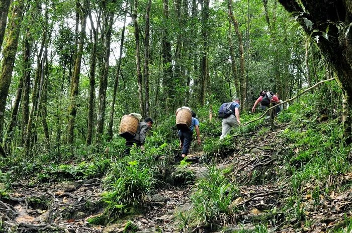 Top 5 Địa Điểm Trekking Ở Nghệ An Khiến Giới Xê Dịch Không Thể Bỏ Lỡ