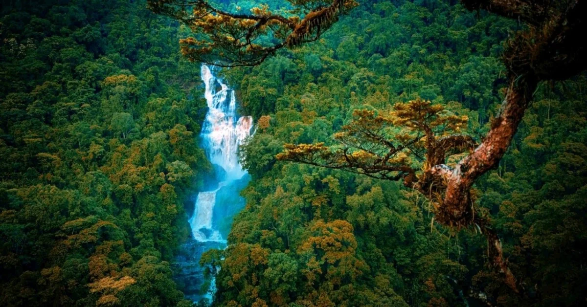 Top 5 Địa Điểm Trekking Ở Nghệ An Khiến Giới Xê Dịch Không Thể Bỏ Lỡ