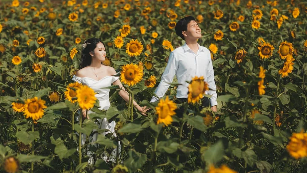 Top 5 địa điểm chụp ảnh cưới ngoài trời ở Nghệ An đẹp mê ly, gần trung tâm Vinh